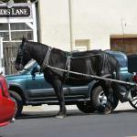 Julian_0041 (October 11, 2015)